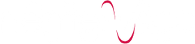 Nemesys Logo